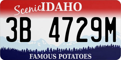 ID license plate 3B4729M