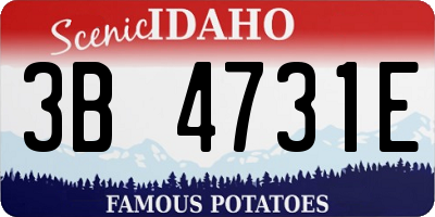 ID license plate 3B4731E