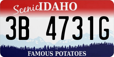 ID license plate 3B4731G