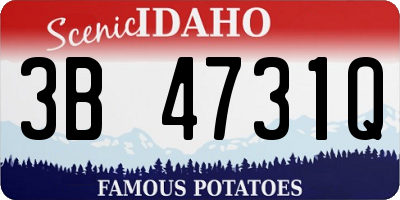 ID license plate 3B4731Q