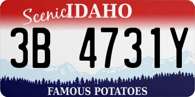 ID license plate 3B4731Y