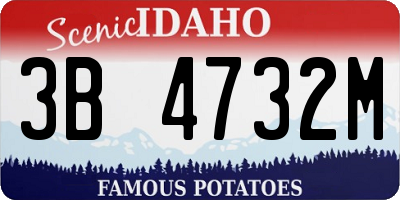 ID license plate 3B4732M