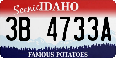 ID license plate 3B4733A
