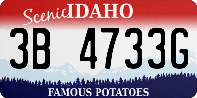ID license plate 3B4733G