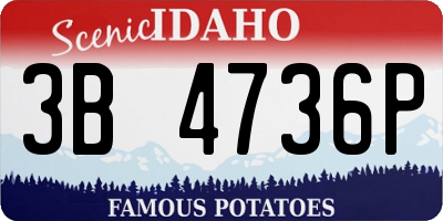 ID license plate 3B4736P