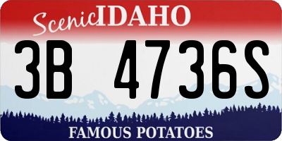 ID license plate 3B4736S
