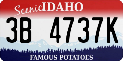 ID license plate 3B4737K