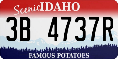 ID license plate 3B4737R