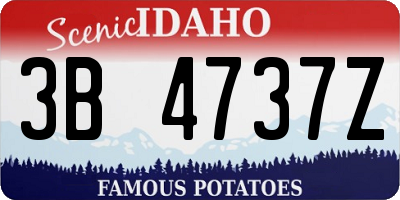 ID license plate 3B4737Z