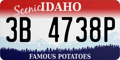 ID license plate 3B4738P