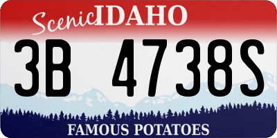 ID license plate 3B4738S