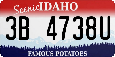 ID license plate 3B4738U
