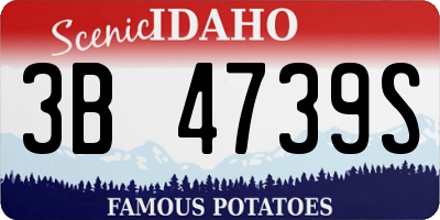 ID license plate 3B4739S