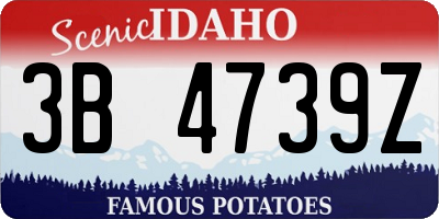 ID license plate 3B4739Z