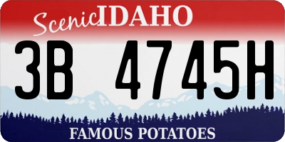ID license plate 3B4745H
