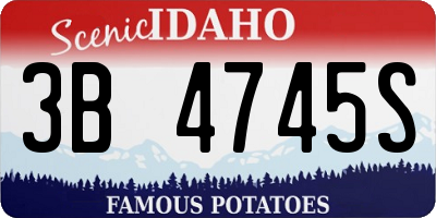 ID license plate 3B4745S