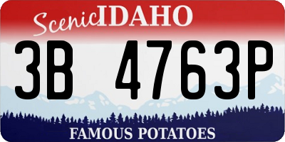 ID license plate 3B4763P