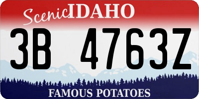 ID license plate 3B4763Z