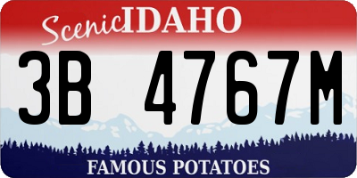ID license plate 3B4767M