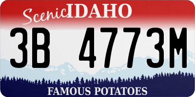 ID license plate 3B4773M