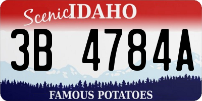 ID license plate 3B4784A