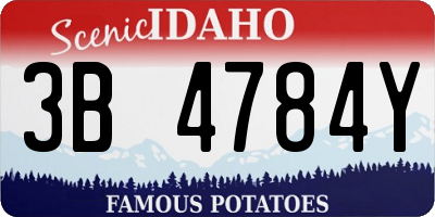ID license plate 3B4784Y