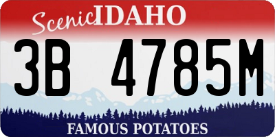 ID license plate 3B4785M