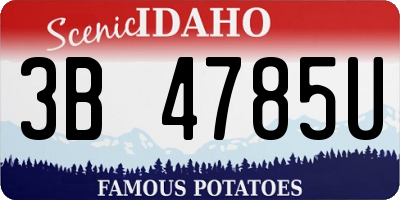 ID license plate 3B4785U