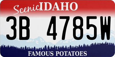 ID license plate 3B4785W