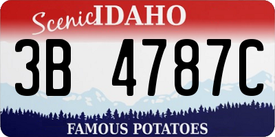 ID license plate 3B4787C