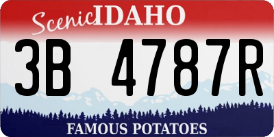 ID license plate 3B4787R