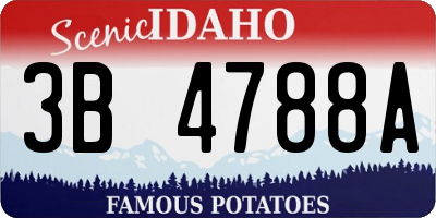 ID license plate 3B4788A