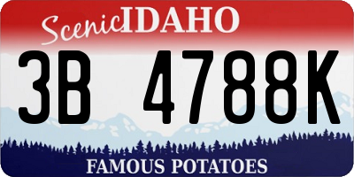 ID license plate 3B4788K