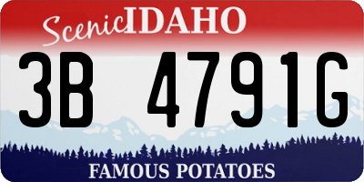 ID license plate 3B4791G