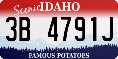 ID license plate 3B4791J