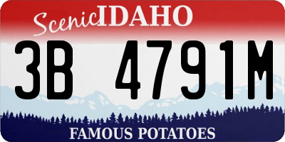 ID license plate 3B4791M