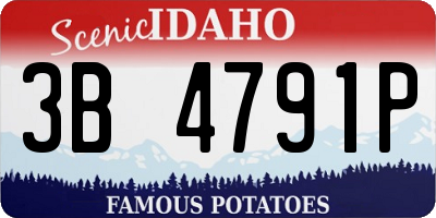 ID license plate 3B4791P