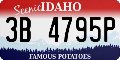 ID license plate 3B4795P