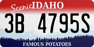 ID license plate 3B4795S