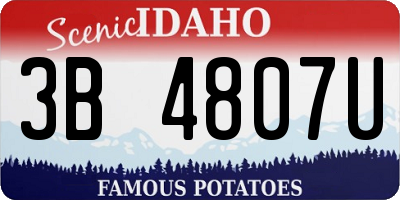 ID license plate 3B4807U
