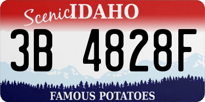 ID license plate 3B4828F