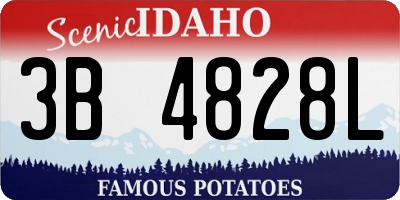 ID license plate 3B4828L