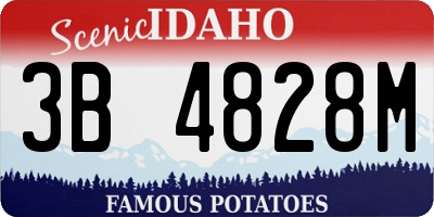 ID license plate 3B4828M