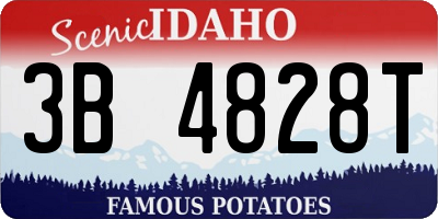 ID license plate 3B4828T