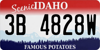 ID license plate 3B4828W