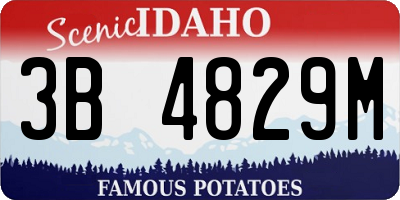 ID license plate 3B4829M