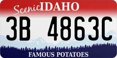 ID license plate 3B4863C