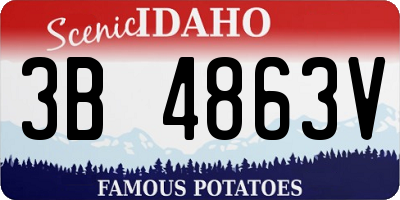 ID license plate 3B4863V