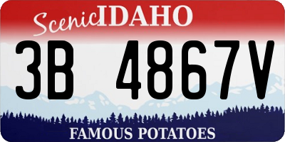 ID license plate 3B4867V