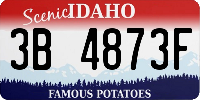 ID license plate 3B4873F